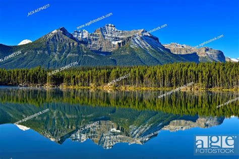 The Bow Range Reflected In Herbert Lake Banff National Park Alberta