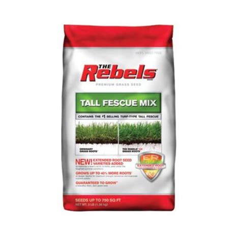 Pennington 100081768 The Rebels Tall Fescue Grass Seed 3 Pound