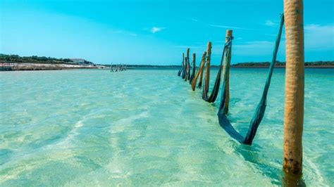 Gov bahiao portal de notícias do estado da bahia. JERICOACOARA: O que Fazer, Dicas, Preços e Roteiro Completo