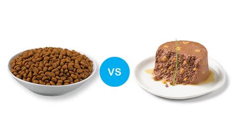 Once those are mixed, the food is cooked and sterilized to produce the canned product. How to choose the right food for your cat | Safe Pet ...