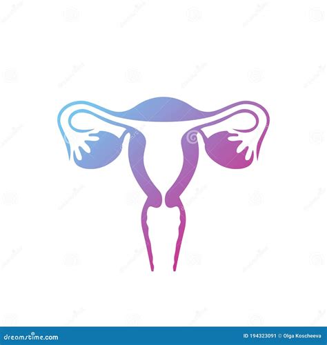 Female Uterus With Ovaries On A White Background Stock Illustration