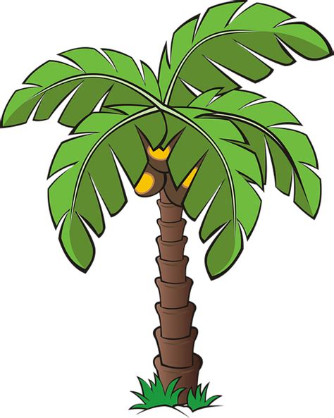 Palm Tree Illustration Cartoon Laveta Becnel