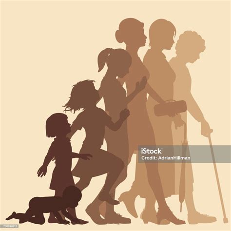 Stages Of Woman Stock Illustration Download Image Now Aging Process
