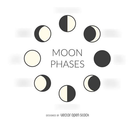 Phases Of The Moon Diagram Quizlet