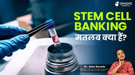 what is stem cell banking dr asha gavade umang hospital youtube