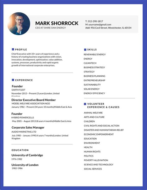 50 Most Professional Editable Resume Templates For