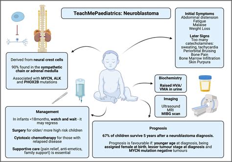 Neuroblastoma Teachmepaediatrics