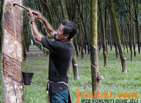 Penyalahgunaan dadah tidak mengira warna kulit, mahupun agama yang dianuti. ~REMAJA BEBAS DADAH~: sejarah KEMUNCULAN DADAH di Malaysia..