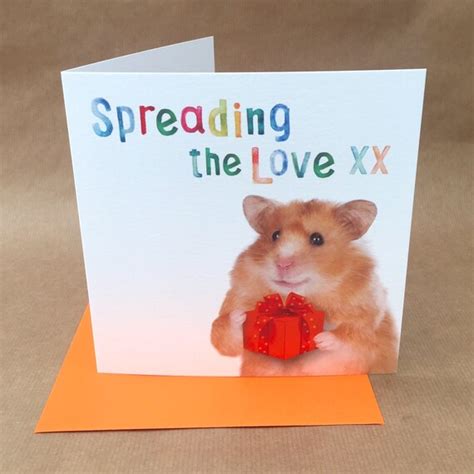 Humourous Cute Hamster Based Birthday Or Greetings Card Etsy