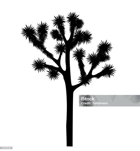 Joshua Tree Vector Isolated On White Background Stock Illustration