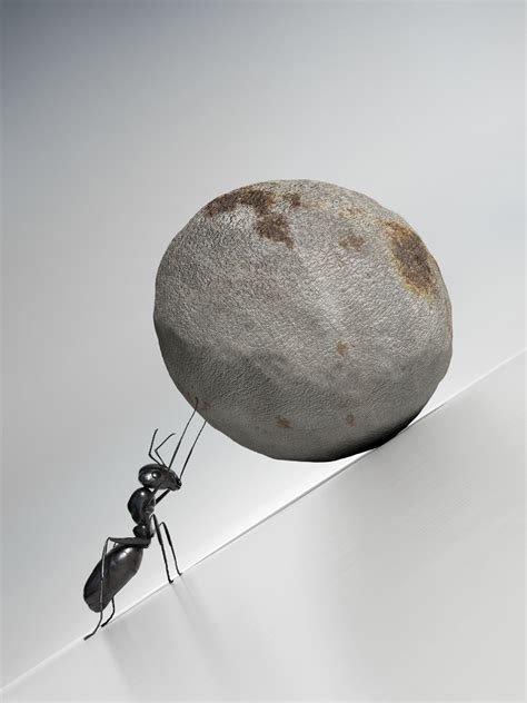 A Single Ant Pushing A Rock Up A Steep Slope Very High Resolution 3d