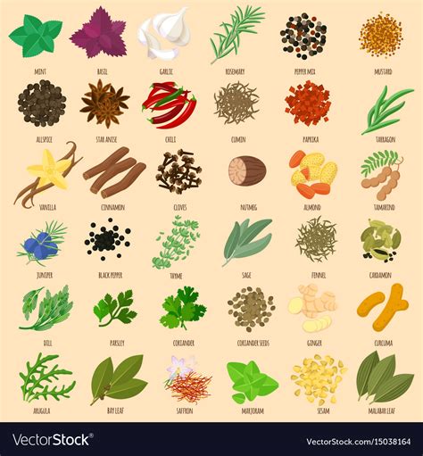 Herbs And Spices Icons Royalty Free Vector Image
