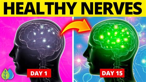 Top 10 Best Herbs For Your Nerves Calm Nervous System Naturally