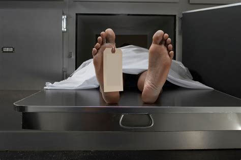 Woman Found Alive In South Africa Morgue Fridge
