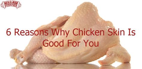 6 Reasons Why Chicken Skin Is Good For You At A Recent Presentation I