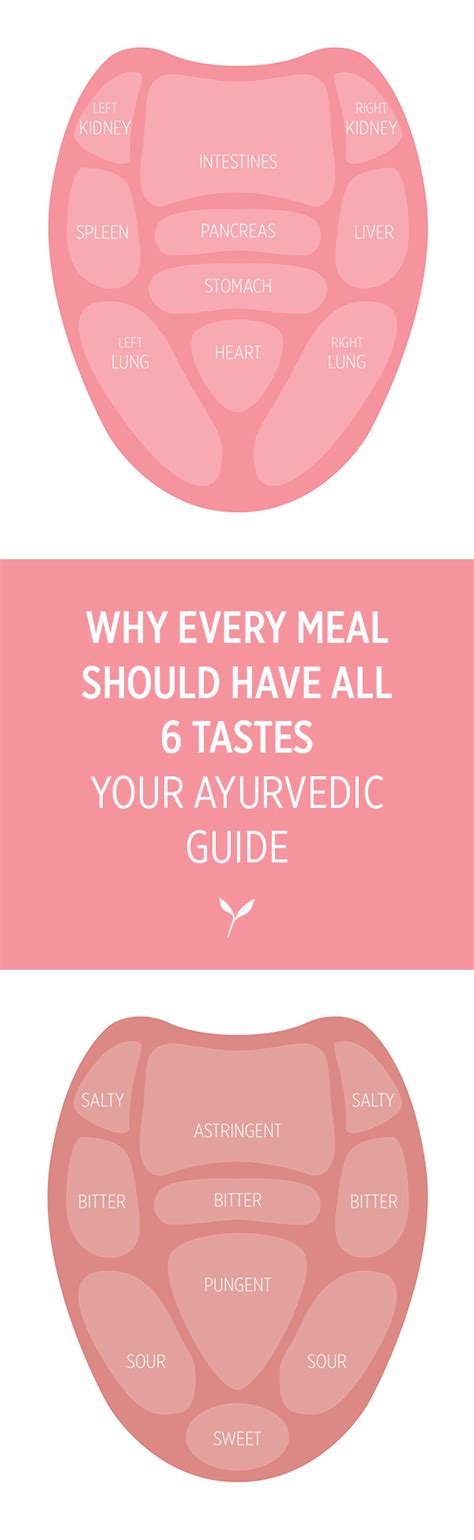 Why Every Meal Should Have All 6 Tastes Ayurvedic Healing Ayurveda