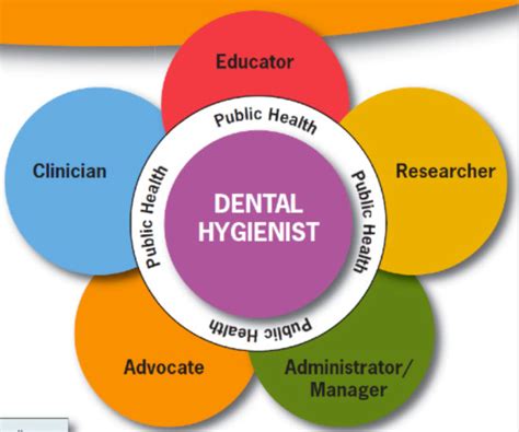 Transforming Dental Hygiene Education Guiding The Redefinition Of