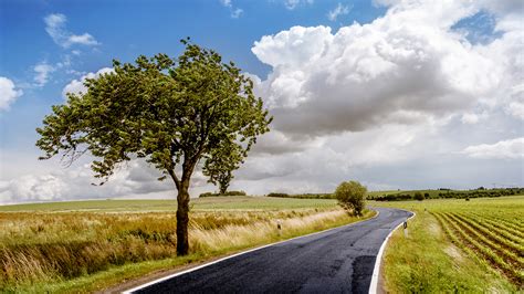 Trees Road Landscape Clouds Field Wallpapers Hd Desktop And