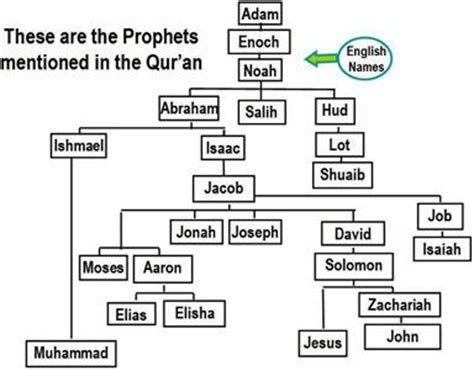He is the first prophet in islam and. THE PROPHETS IN ISLAM (PBUT)