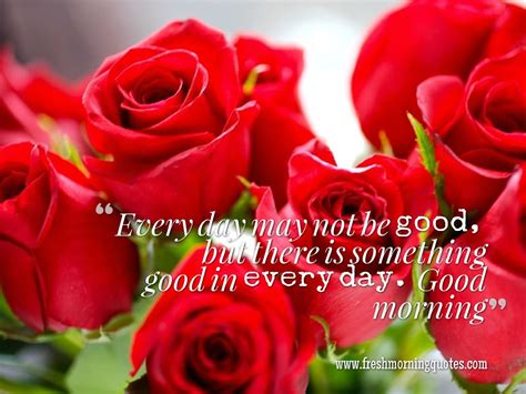 60 Beautiful Good Morning Rose Images Freshmorningquotes