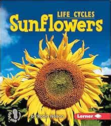 Amazon Com Sunflowers First Step Nonfiction Plant Life Cycles