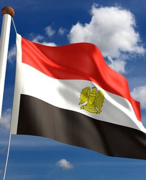 Find & download free graphic resources for egypt flag. Egypt issues controversial NGO law - Africa Feeds
