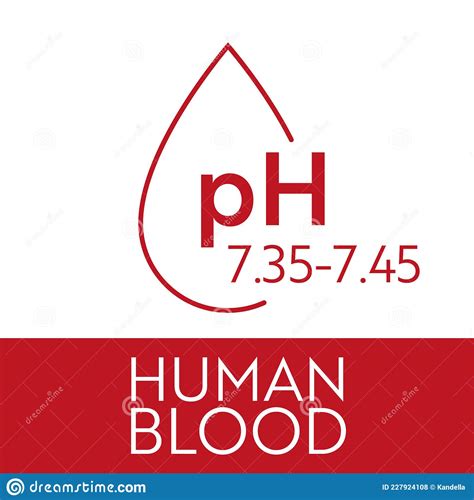 Human Blood Ph Range Stock Vector Illustration Of Liquid 227924108