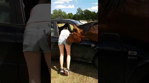 Horse Like Girls Butt Youtube