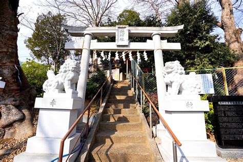Taki Jinja Shrine Must See Access Hours And Price Good Luck Trip