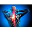 FREE Dinner Seminar On Back/Neck Pain  NWA Health Solutions