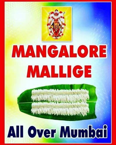 White Mangalore Mallige Flowers At Rs 150meter In Mumbai Id 22389519233