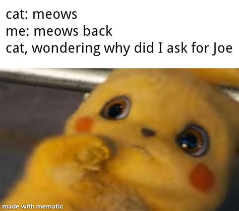 poor kitty he never saw it coming r dankmemes