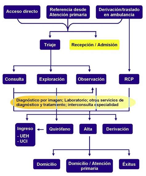 1 Proceso De Atención Del Paciente En Uuh 39 Download Scientific