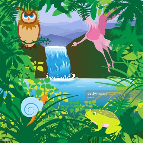 Tropical Rainforest High Res Vector Graphic Getty Images