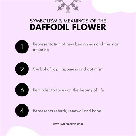 Daffodil Flower Symbolism Meanings And History Symbol Genie