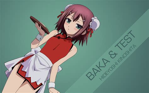 Download Anime Baka And Test Hd Wallpaper By Spectralfire234