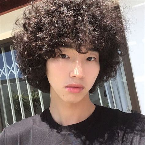 share 82 korean curly hair male best in eteachers