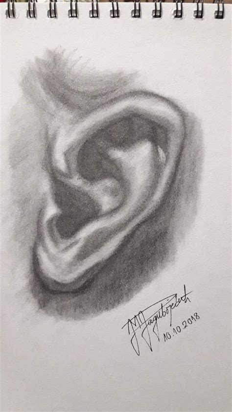Ear Drawing Practice Sketch Sketches Tutorial Topology Anatomy