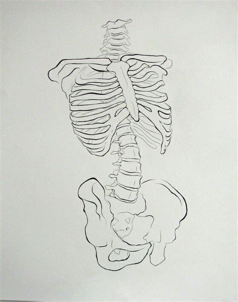 A Black And White Drawing Of A Human Skeleton