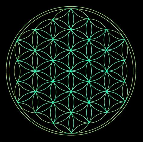 Download Flower Of Life Geometry Universe Royalty Free Stock