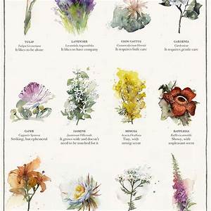 Flower Chart With Names