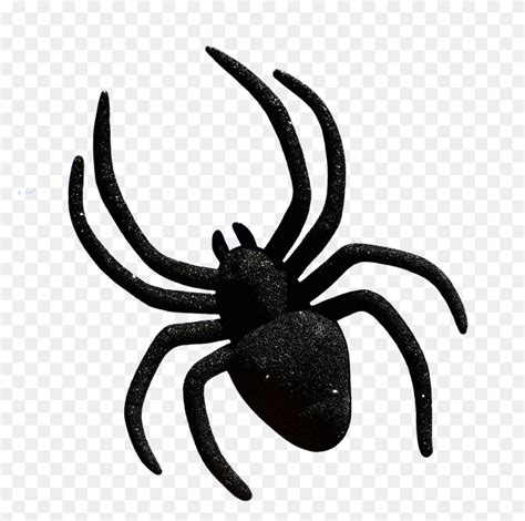 Southern Black Widow Spider Drawing Brown Widow Clip Art Black Widow