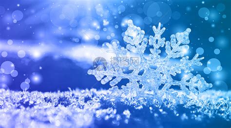 冬季雪花背景图片素材 正版创意图片400851672 摄图网