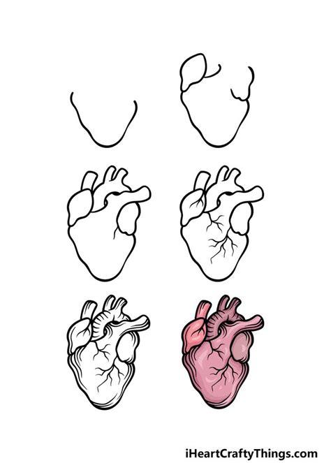How To Draw A Realistic Heart A Step By Step Guide Easy Heart