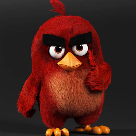 3d Model Angry Bird Red Vr Ar Low Poly Rigged Cgtrader