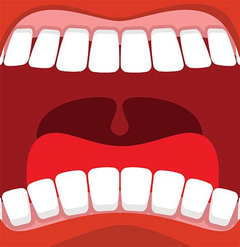 Best Uvula Illustrations Royalty Free Vector Graphics And Clip Art Istock