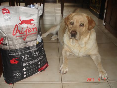 Top 5 picks for best dog food for puppies. DOG FOOD REVIEWS 2016 - Premium Dog Foods Reviewed