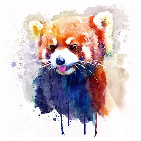 Red Panda Watercolor Print Art And Collectibles Digital Prints Jan