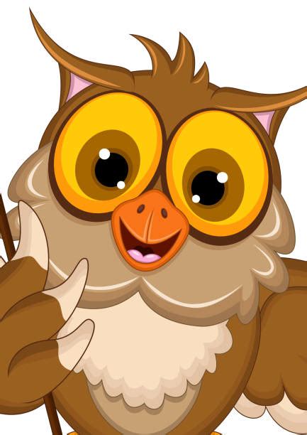 Best Hoot Owl Drawings Illustrations Royalty Free Vector Graphics