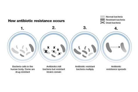 How Does Antibiotic Resistance Develop And Spread